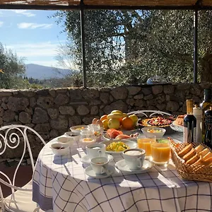 Farm stay Fattoria Lornano Winery Monteriggioni